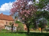 Gehaus - Park mit Tulpenbaum, altem Wirtschaftsgebäude und Kirche