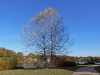 Park Babelsberg im Herbst
