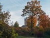 Park Babelsberg im Herbst