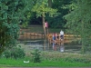 Gehaus - Der Teich im Schlosspark