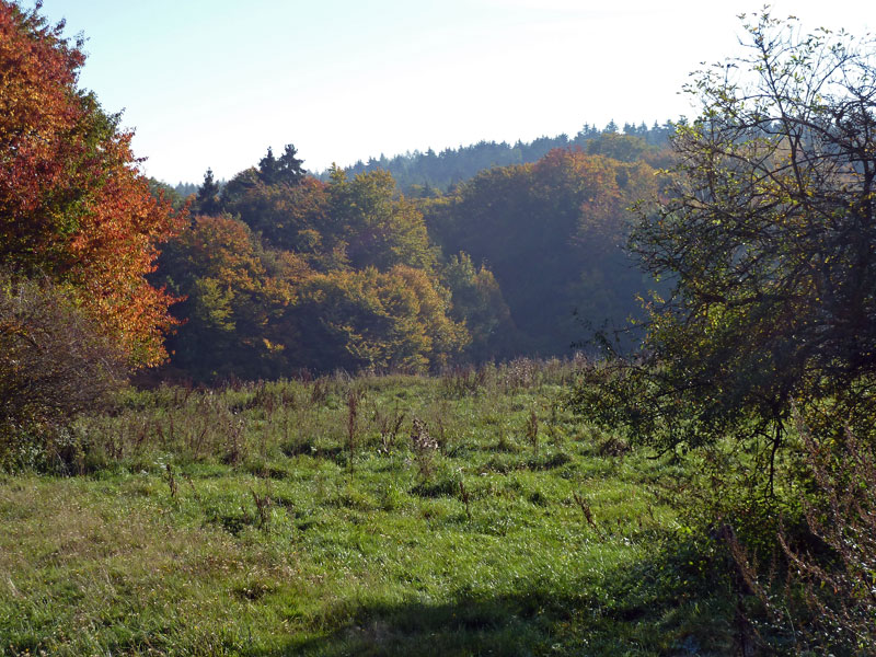 Herbst in der Rhön - Oktober 2010